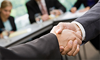 Business Litigation